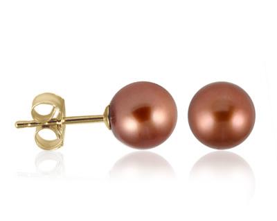 7-7.5mm Natural Freshwater Brown Pearl Earrings in 14K Yellow Gold