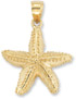 Starfish Pendant in 14K Yellow Gold