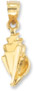 Conch Shell Pendant in 14K Yellow Gold