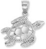 Sea Turtle Pendant in 14K White Gold