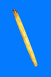 14K Gold Bangle Bracelet with Star Design