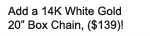 14K White Gold Box Chain