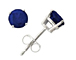 Platinum Sapphire Stud Earrings
