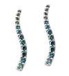 1 Carat Blue Diamond Earrings