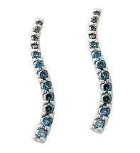 1 Carat Blue Diamond Earrings