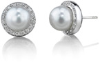 South Sea Pearl Diamond Pave Stud Earrings