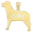 Personalized Dog Name Necklace in 14K Gold