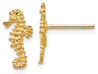 14K Gold Seahorse Stud Earrings