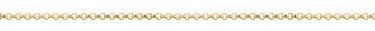 Add an 18K Gold Rolo Chain