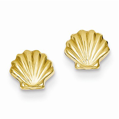Polished Shell Post Earrings in 14K Yellow Gold