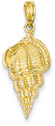Conch Shell Pendant in 14K Gold