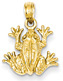 Frog Pendant in 14K Solid Gold