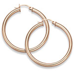 Rose Gold Earrings