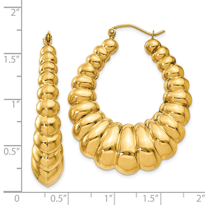 large shrimp creole hoop earrings 14k gold
