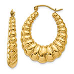 shrimp creole hoop earrings 14k gold