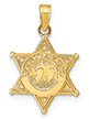 14K Gold Deputy Sheriff Badge Pendant