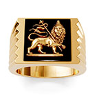 Lion of Judah Black Onyx Ring for Men in 14K Gold