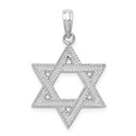 14K White Gold Textured Star of David Pendant