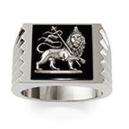 14K White Gold Lion of Judah Black Onyx Ring for Men