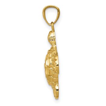 14K Gold Turtle Pendant Necklace 2