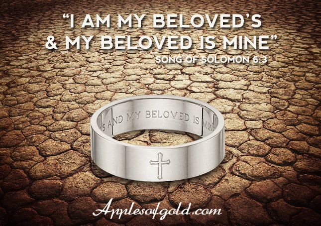 03-12-2013 I am my beloved's
